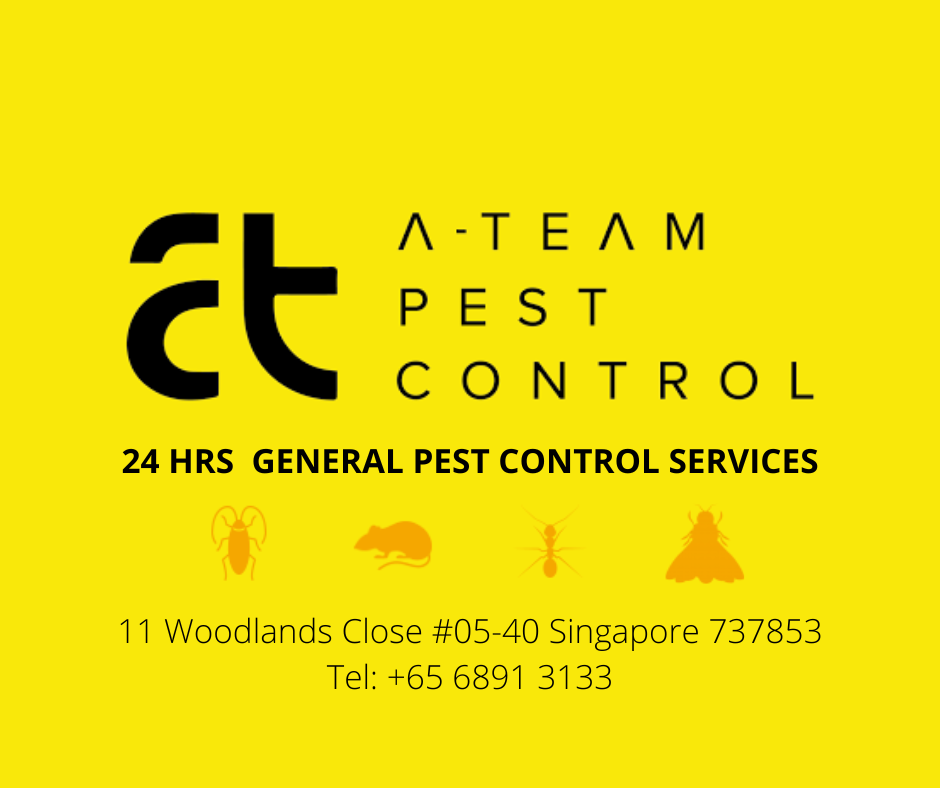 pest control service in singapore