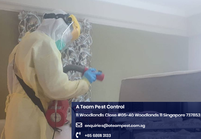 tuition disinfecting singapore