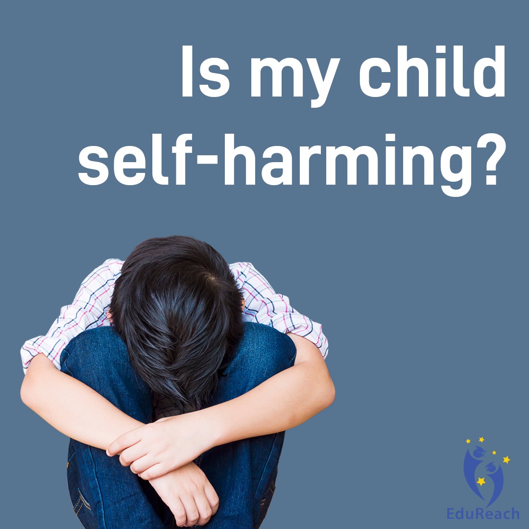 What kind of support to provide my child,