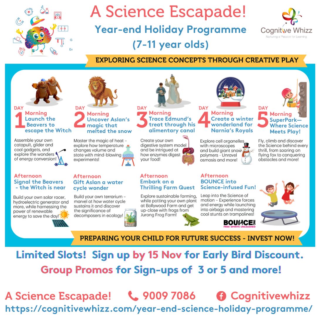 Year end holiday program