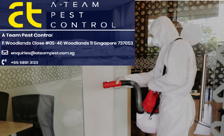 singapore sanitisation service