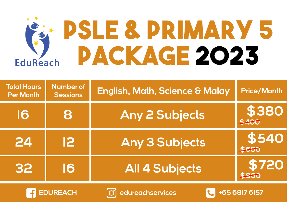 psle science tuitionIedureach