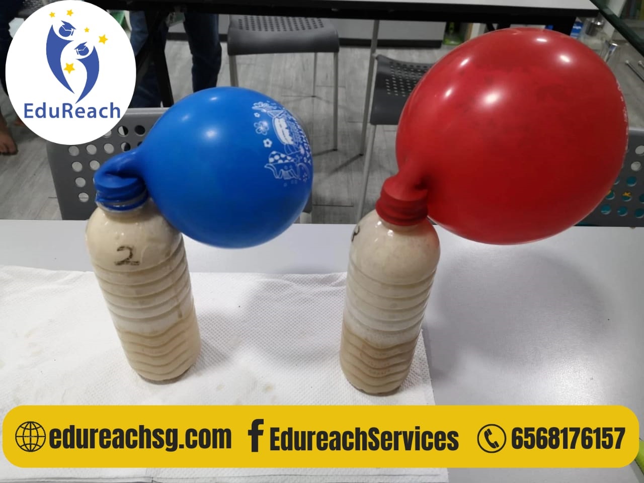 science tuition centre simei fees