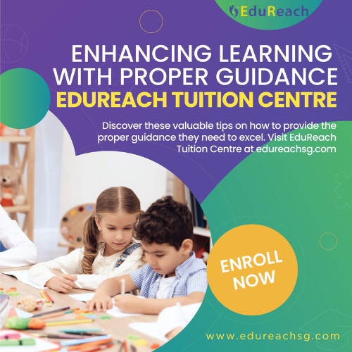 primary 2 english tuitionIedureach