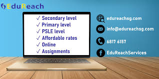 Will My Child Truly Benefit from Online Tuition|edureach