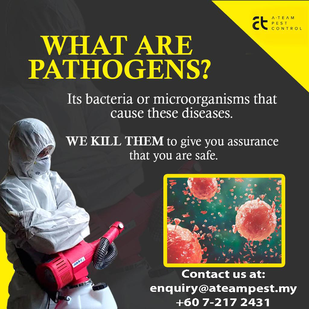 pest control kulaiIAteam