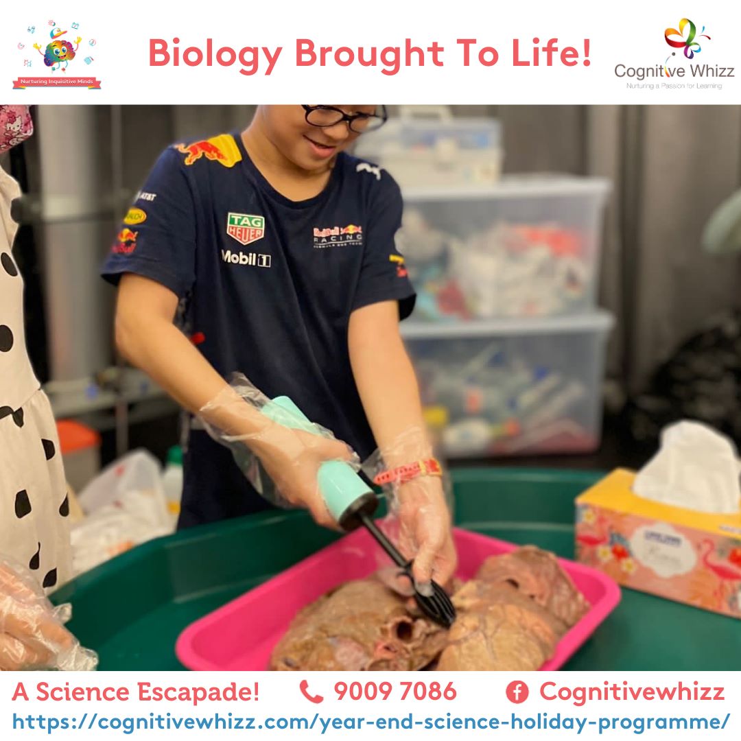 Science year end holiday prg singapore