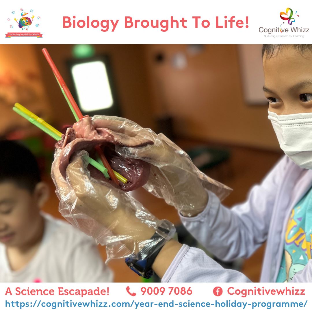 Best Science year-end holiday prg