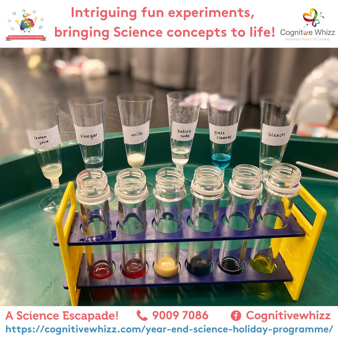 Science holiday programme  