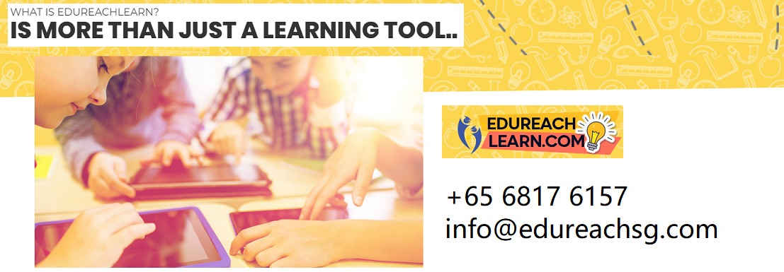 Malay special programme tuition