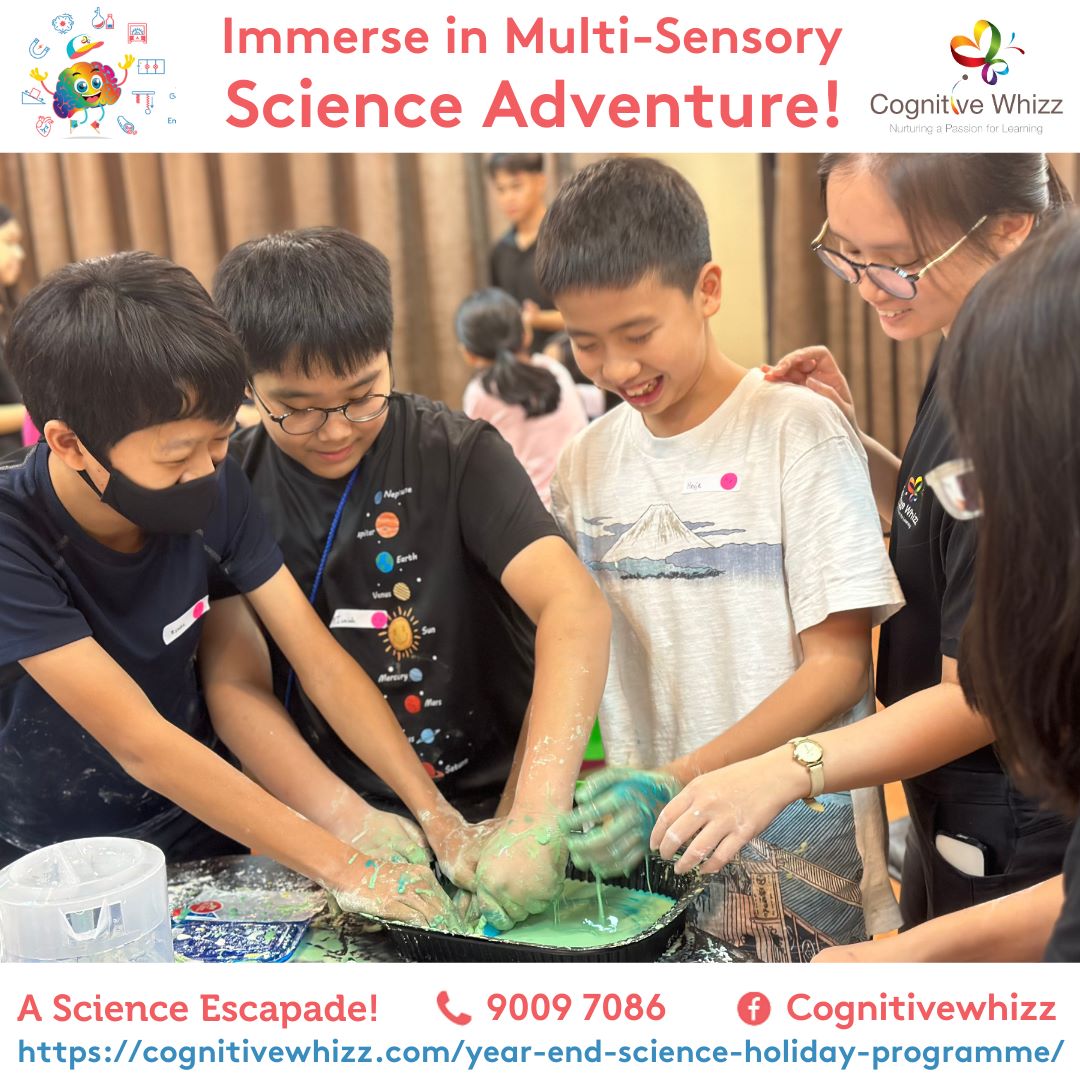 Best Science year end holiday programme