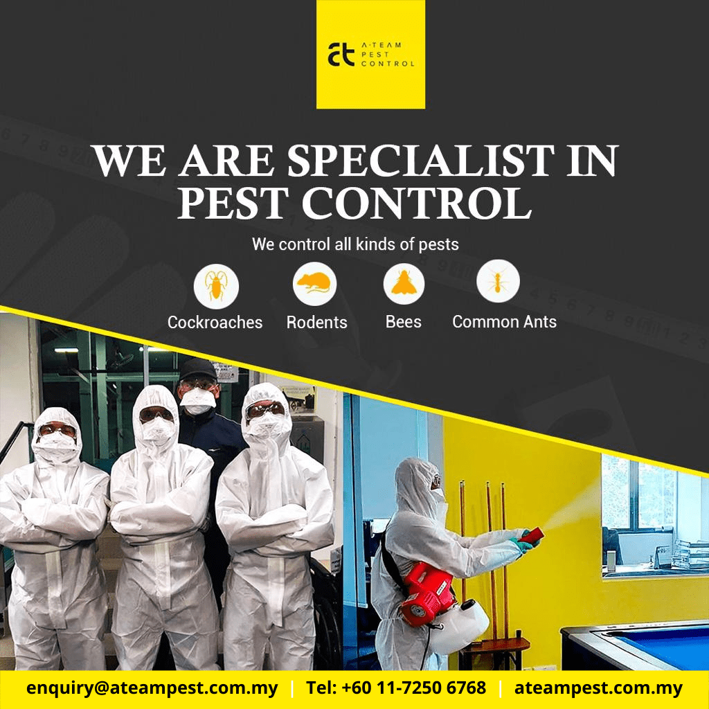 best pest control malaysia