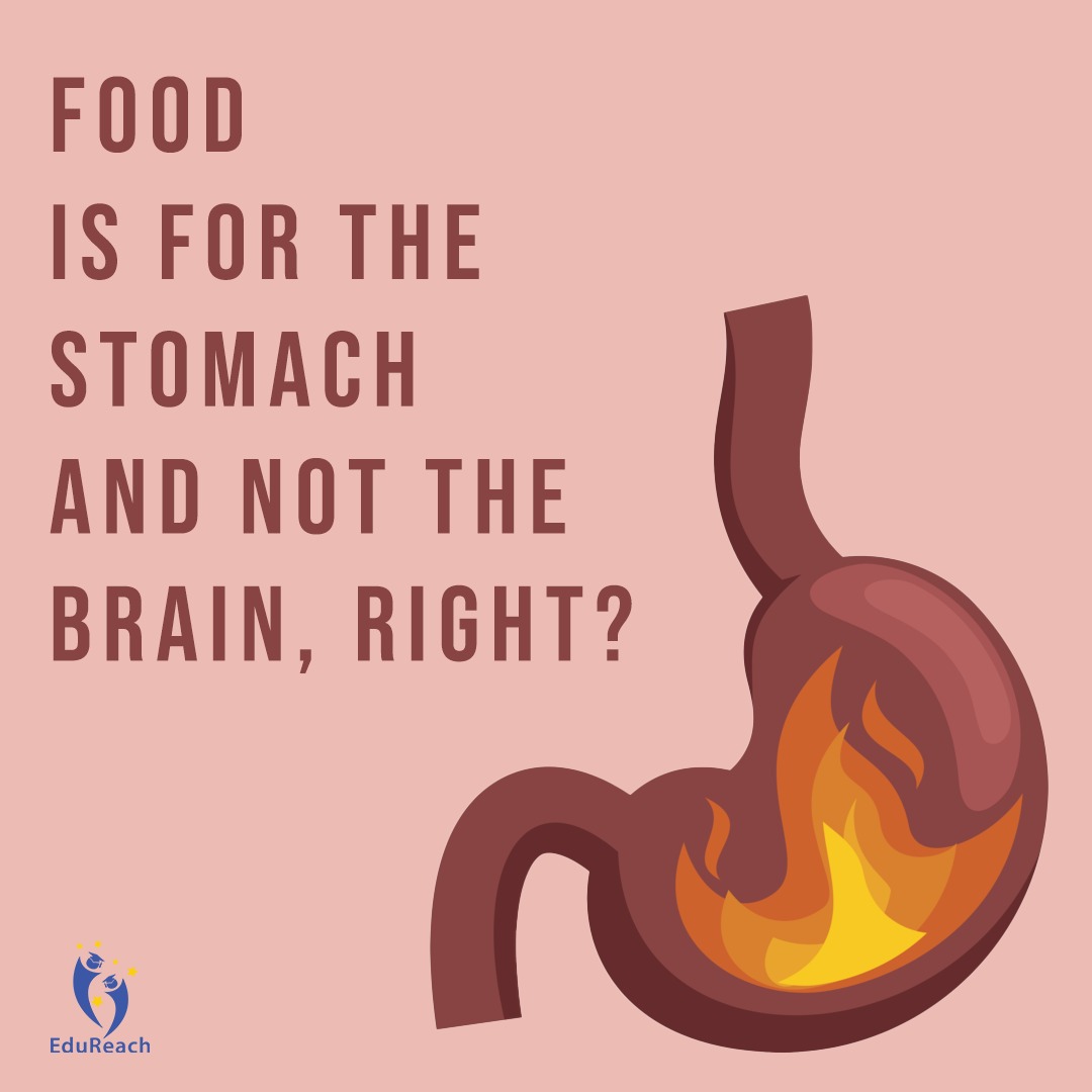 stomach and brain connection