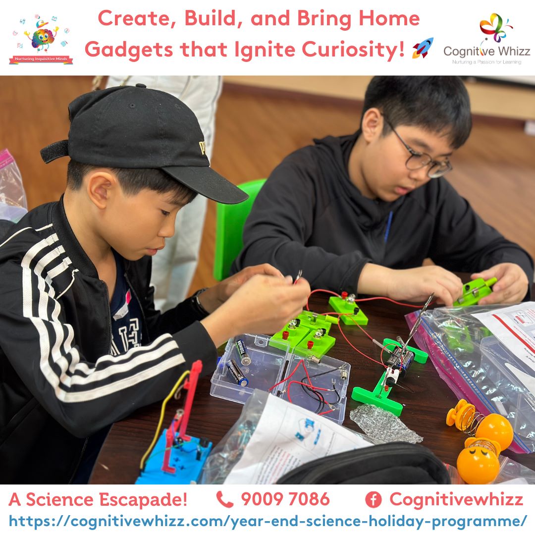 Fun Science holiday programcognitivewhizz