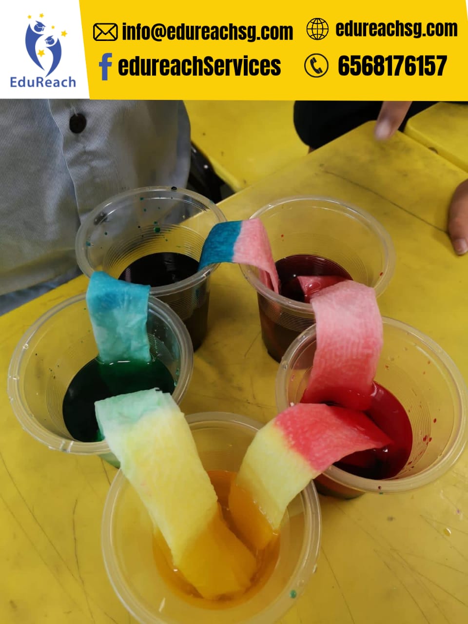 PSLE science classes Jurong EastIedureach