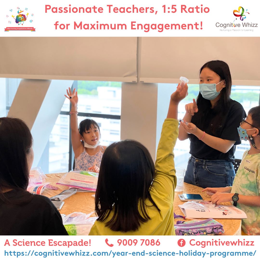 Science year-end holiday programme