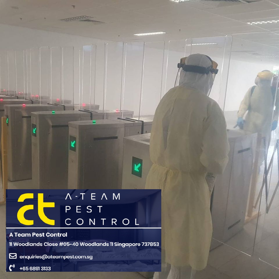 virus disinfection service