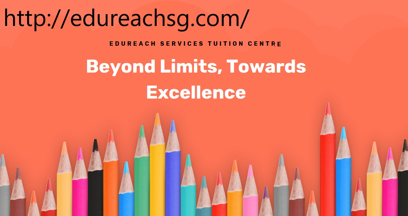 psle math 2019 classes|9739 1770