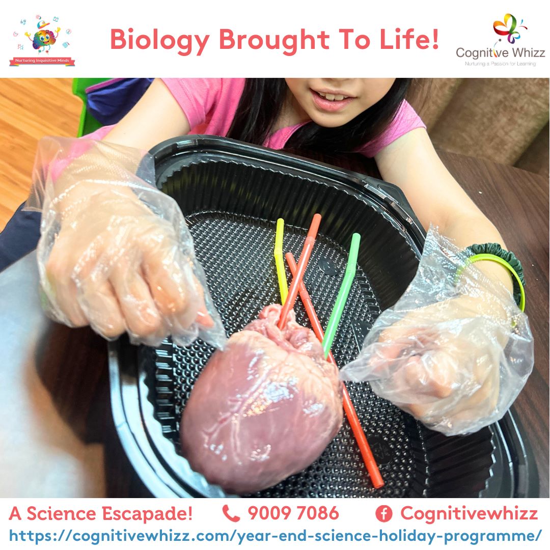 Fun Science holiday programme singaporecognitivewhizz