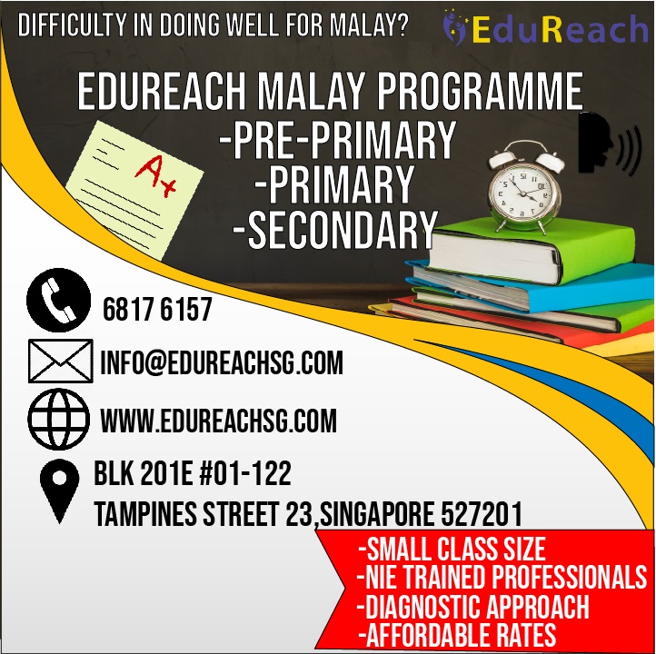 Pr6 malay tuition class LoyangIedureach