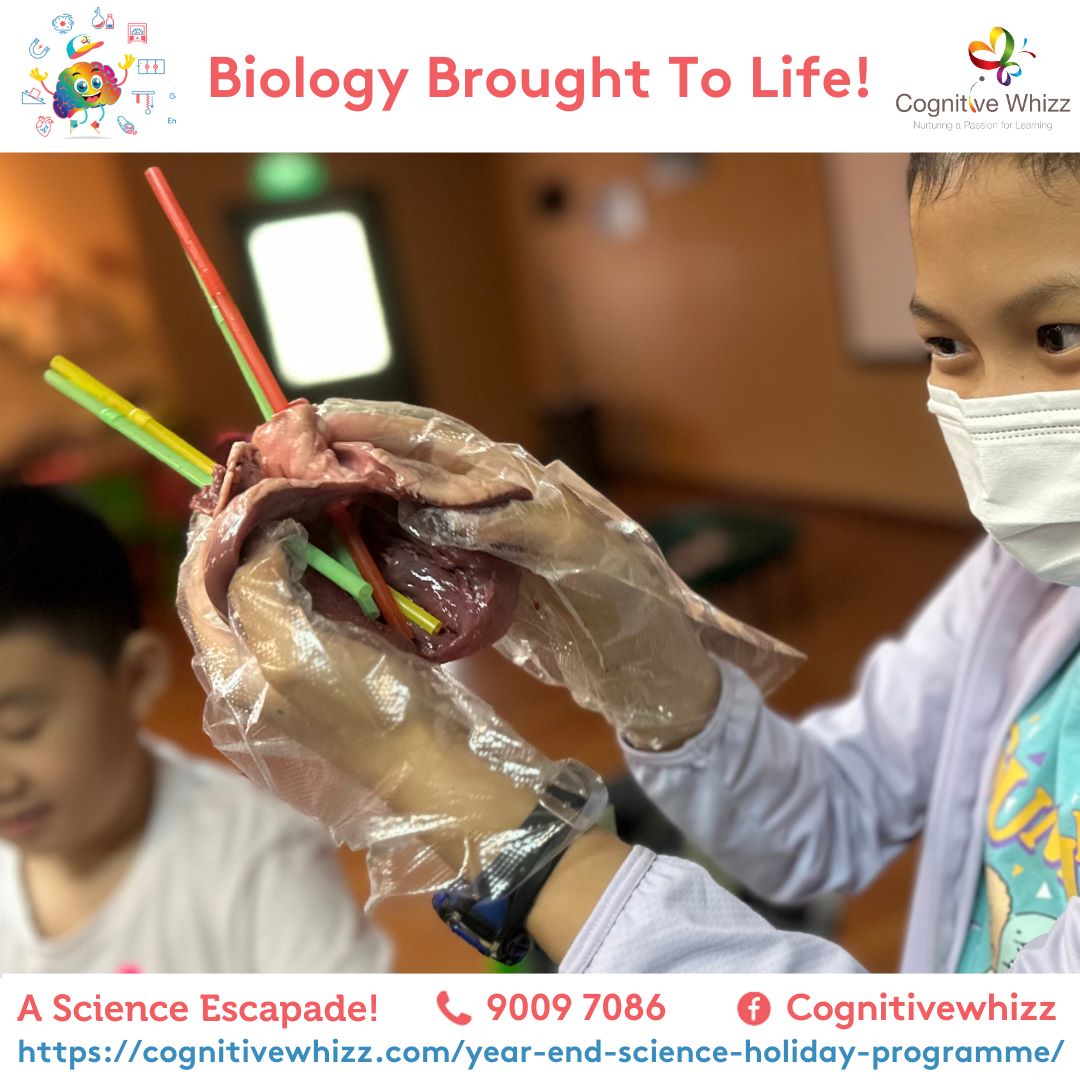 Science year-end holiday prg singapore