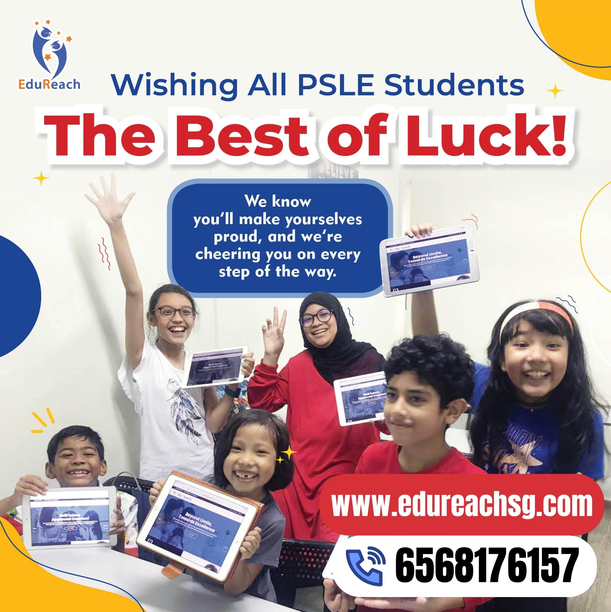 psle math online courses