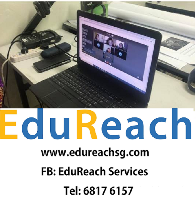 psle maths online tuition|edureach