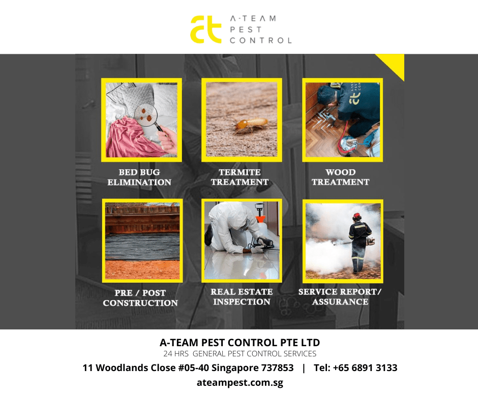 pest termination singapore