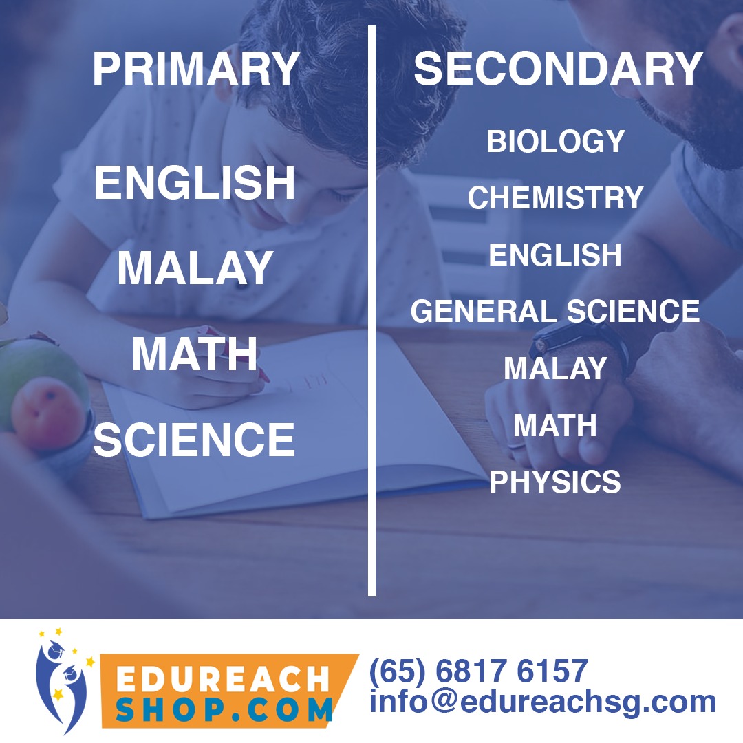 Malay Worksheets for Primary 2