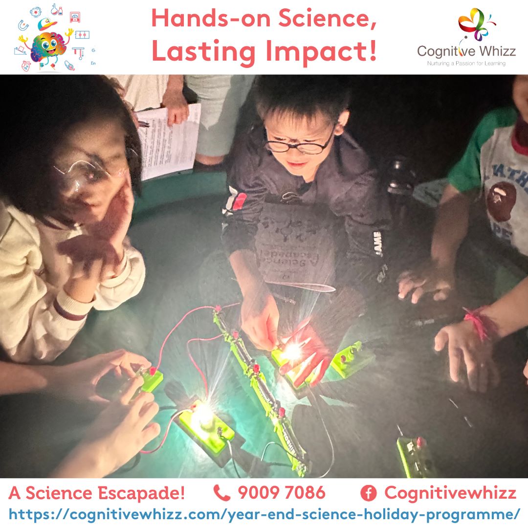 Best Science year end holiday programmecognitivewhizz