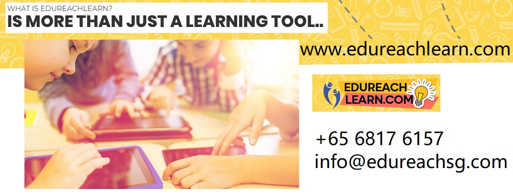 psle foundation tuition 