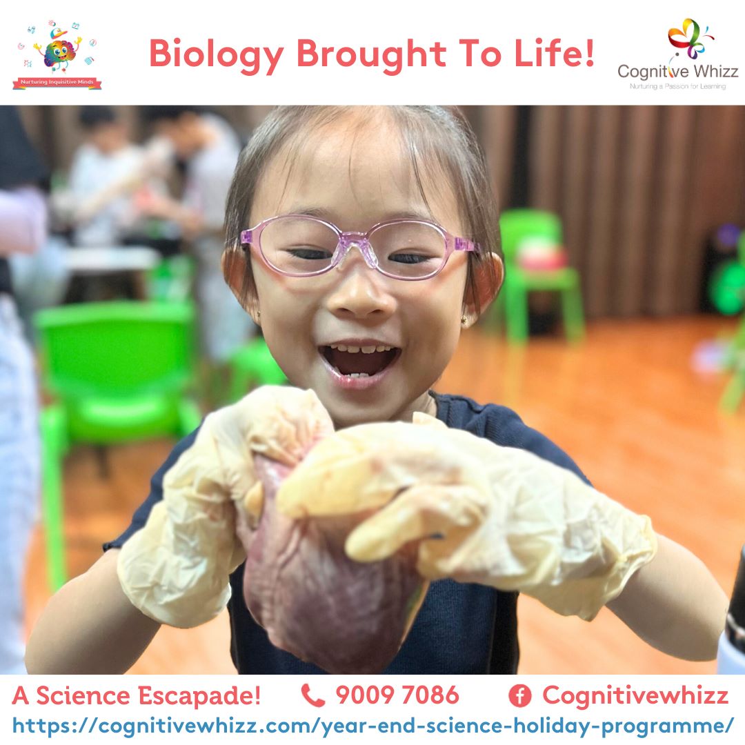 Fun Science holiday camp Singapore