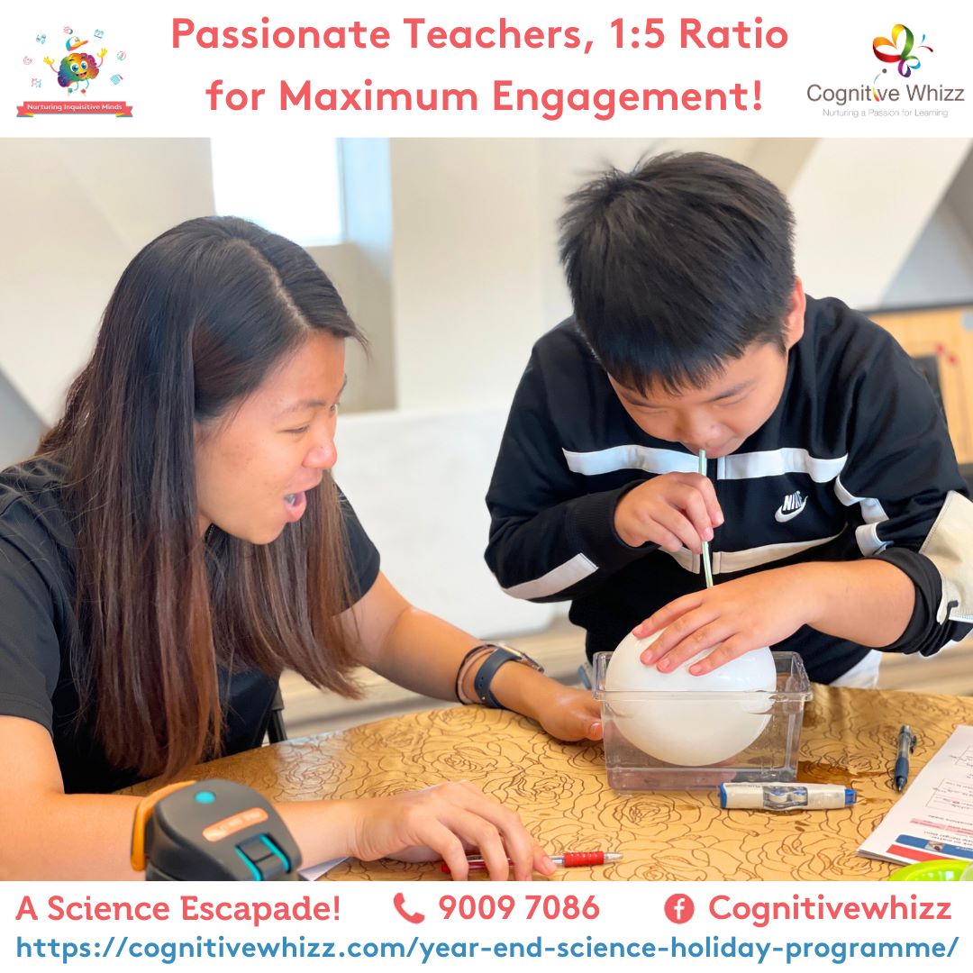 Best Science year end holiday programme singaporecognitivewh