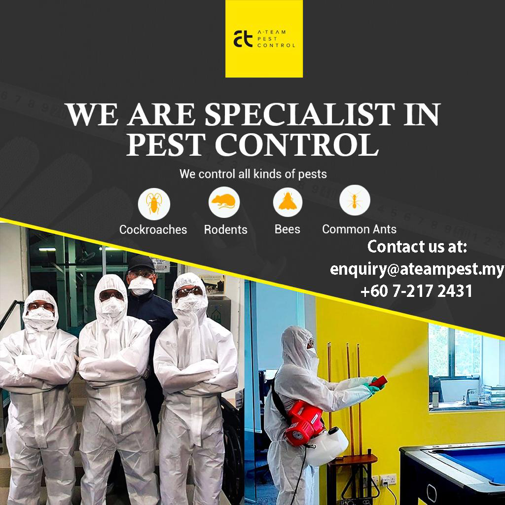 jb termite pest controlIAteam