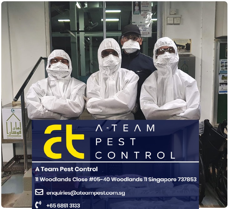 shop disinfection singapore